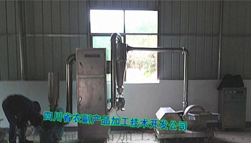 顆粒藕粉、速溶藕粉及復合藕粉設備的技術開發與應用